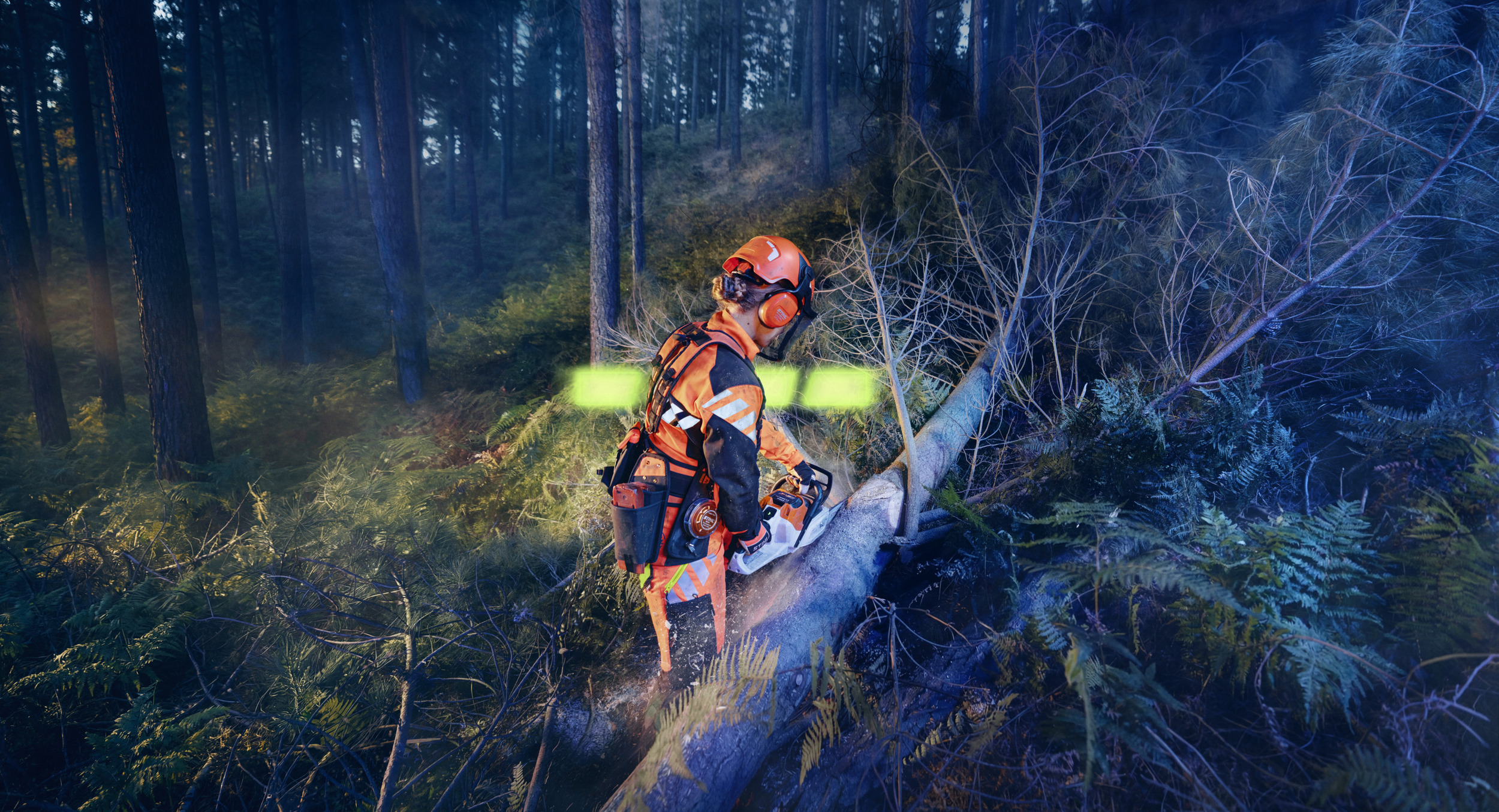 Az MSA 260 láncfűrész STIHL ALLPRO akkumulátorral erdészeti munkák során
