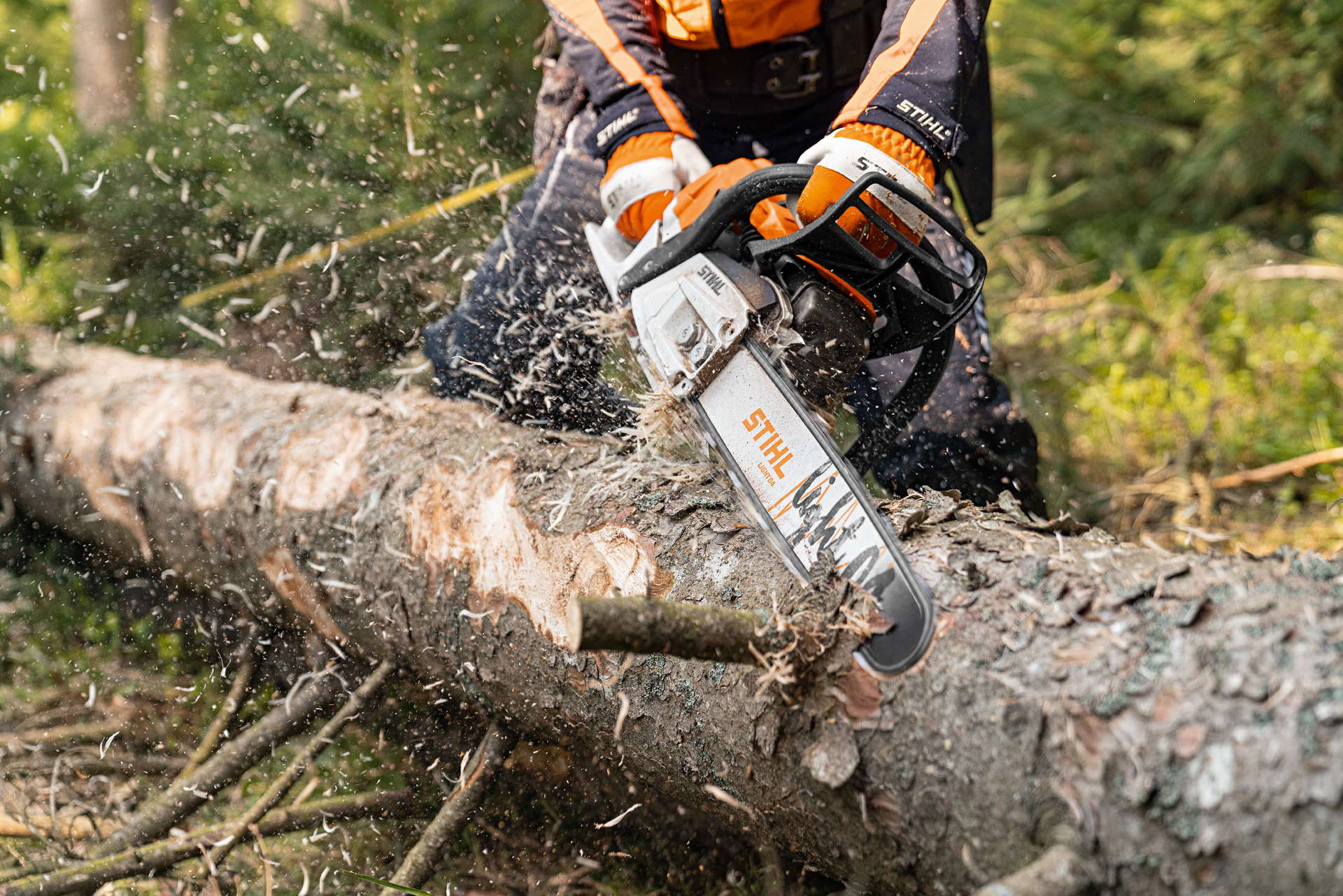 Egy fatörzset a 2-Mix motorral és Light 04 vezetősínnel felszerelt STIHL MS 261 C-M benzines motorfűrésszel kéregtelenítenek az erdőben