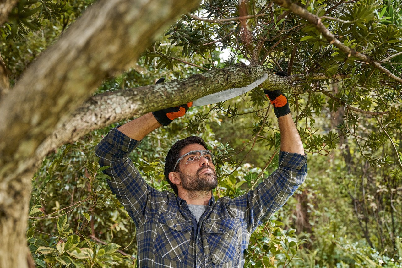 Egy STIHL védőkesztyűt és védőszemüveget viselő férfi alulról befűrészel egy ágat a közepéig