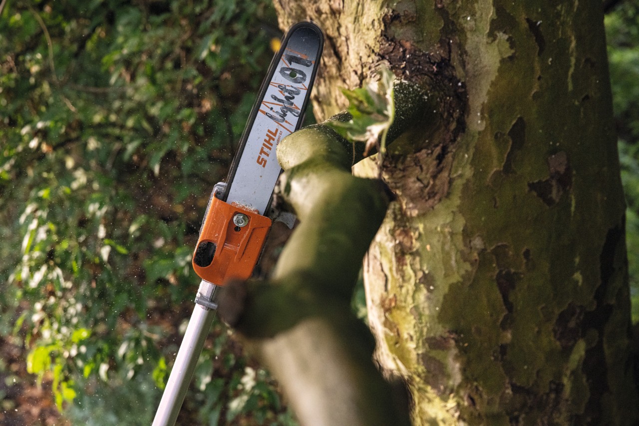 Közeli felvétel a STIHL HTA 135 akkumulátoros ágvágóról egy ág lefűrészelése közben