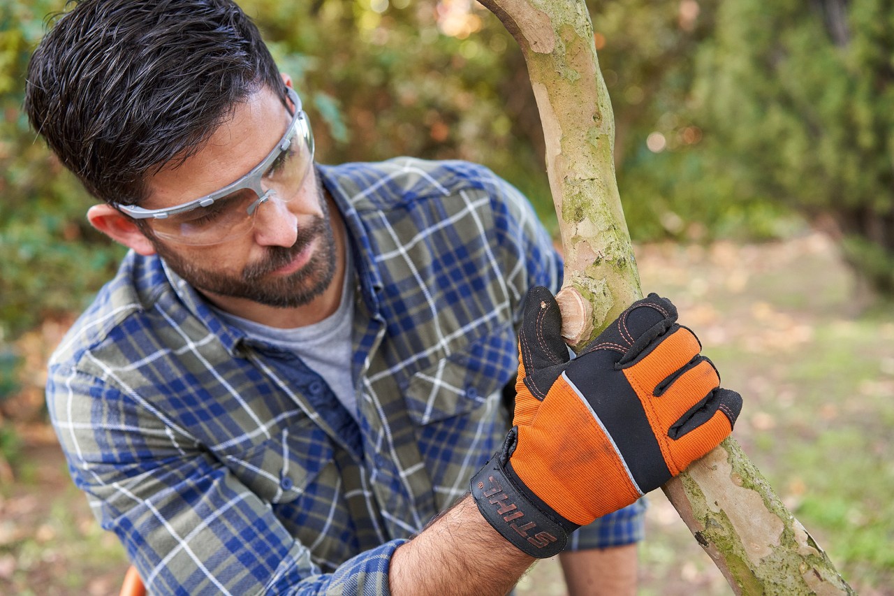 Egy STIHL védőkesztyűt és védőszemüveget viselő férfi egy ágat fog és vizsgál a kertben