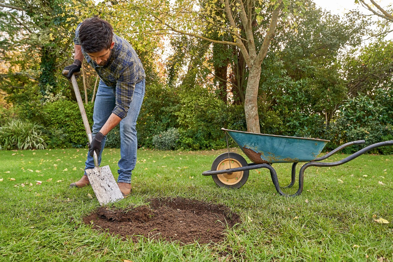Egy STIHL védőkesztyűt viselő férfi kiássa a gyepet egy ültetőgödörhöz, hogy elültessen egy fát