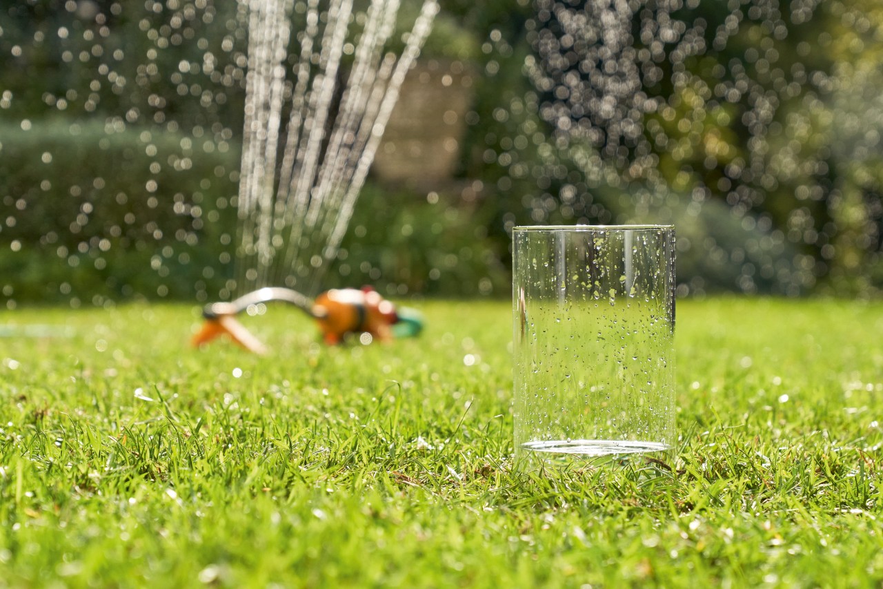 A háttérben egy gyeplocsolóból érkező vizet egy pohárba gyűjtik.