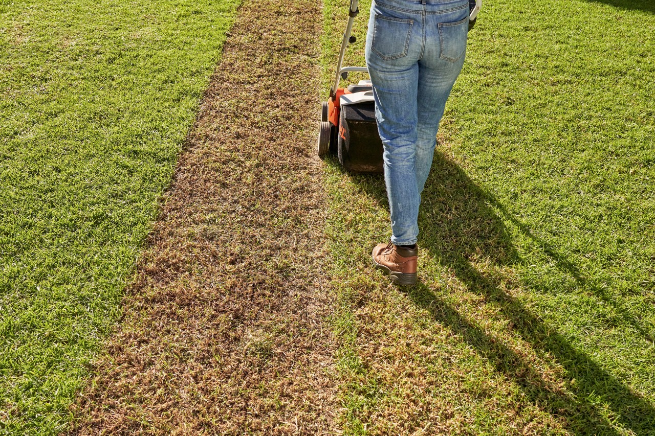 Egy nő STIHL RLA 240 akkumulátoros gyepszellőztetővel szellőzteti a gyepet