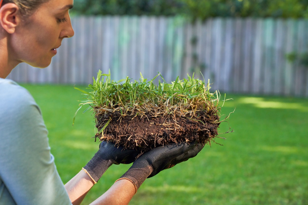 Egy nő STIHL FUNCTION SENSOTOUCH munkakesztyűt visel, és egy szellőztetendő gyepdarabot tart a kezében.