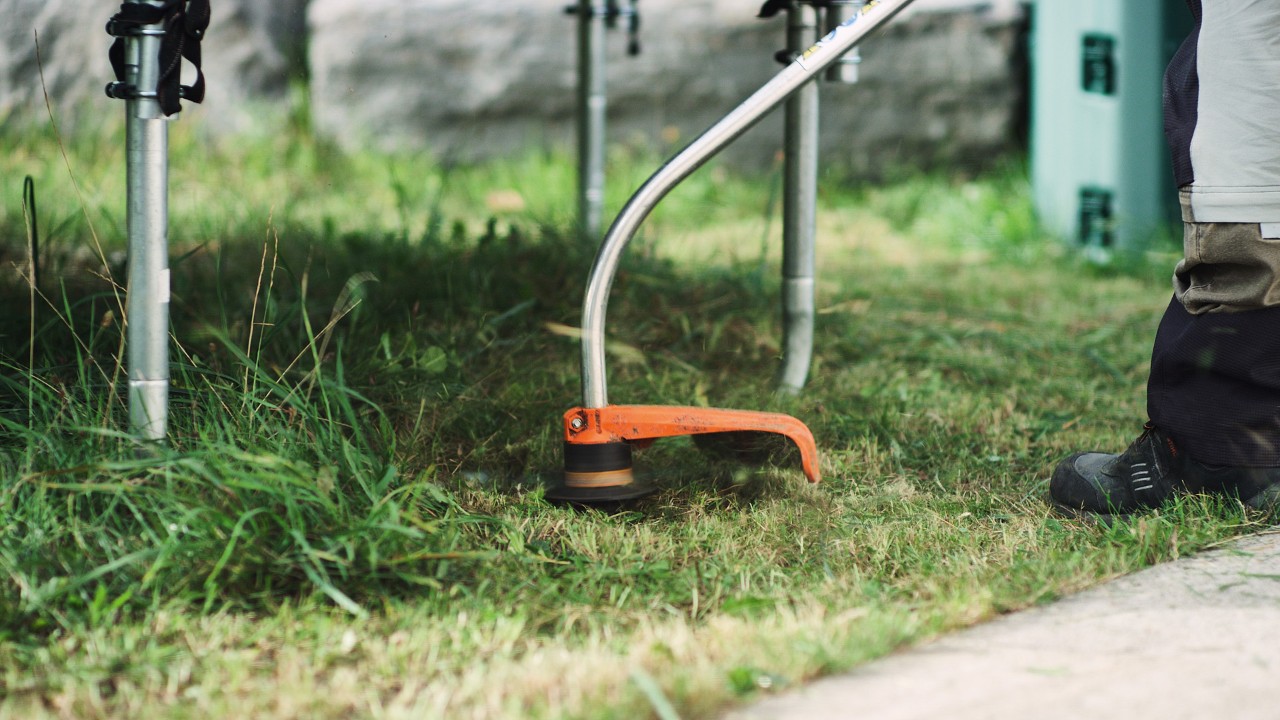 A STIHL FS 38 benzinmotoros kaszával gyepszegélyt vágnak