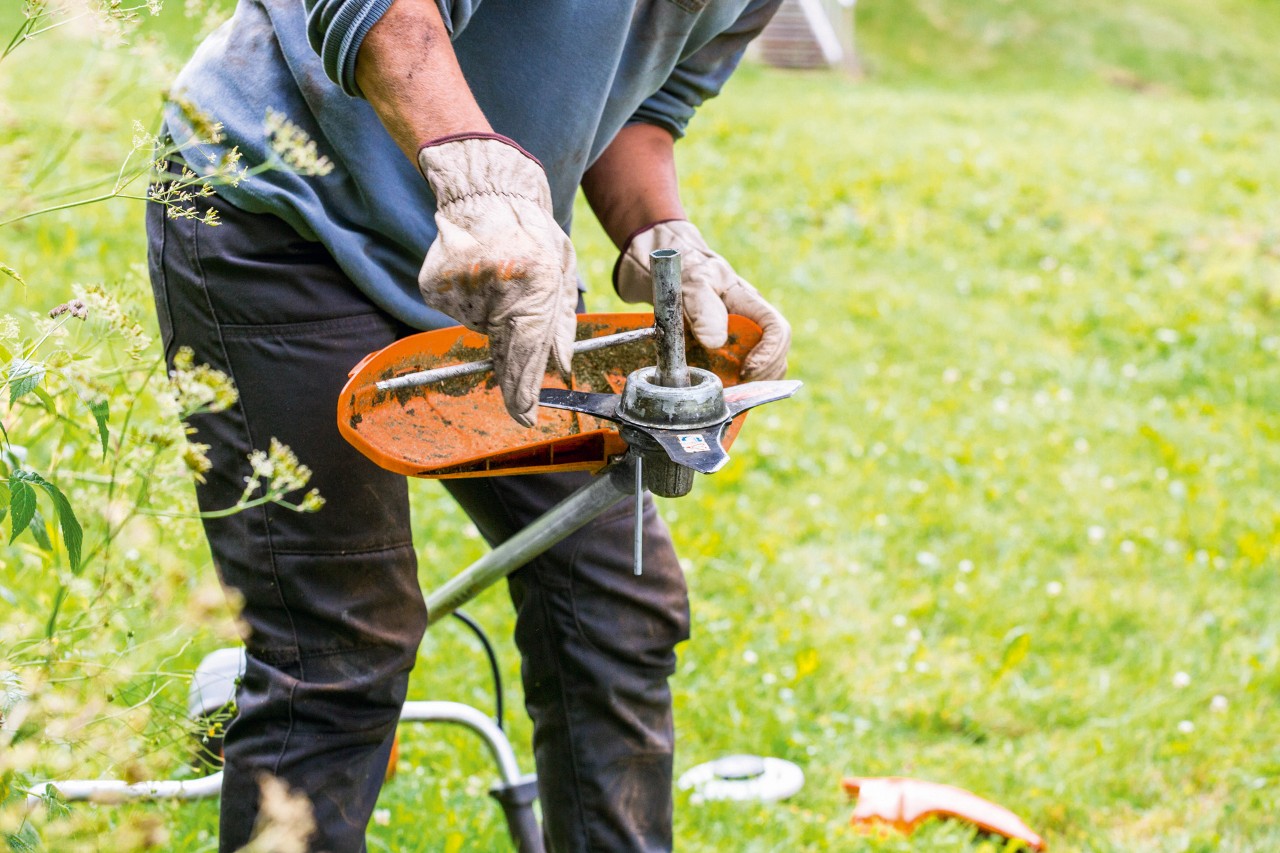 Damilfej tisztítása a STIHL FS 131 motoros kasza karbantartása során