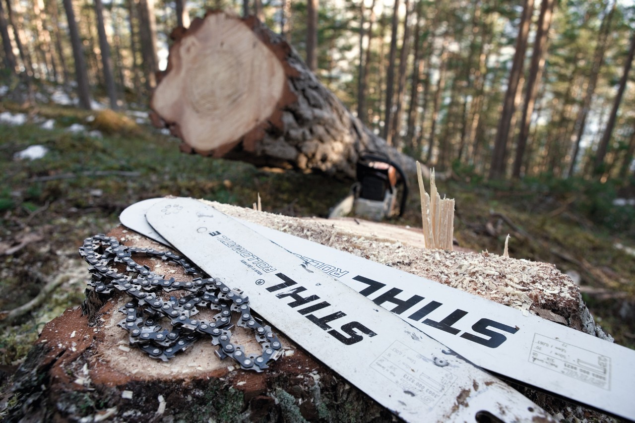 STIHL láncok és vezetőlemezek egy fatörzsön az erdőben, a háttérben frissen vágott fa 