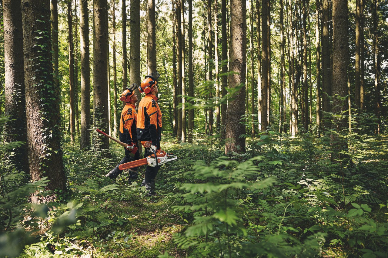 Két védőfelszerelést viselő férfi egy erdészeti fejszével és egy STIHL akkumulátoros motorfűrésszel megy az erdőben felfele nézve.
