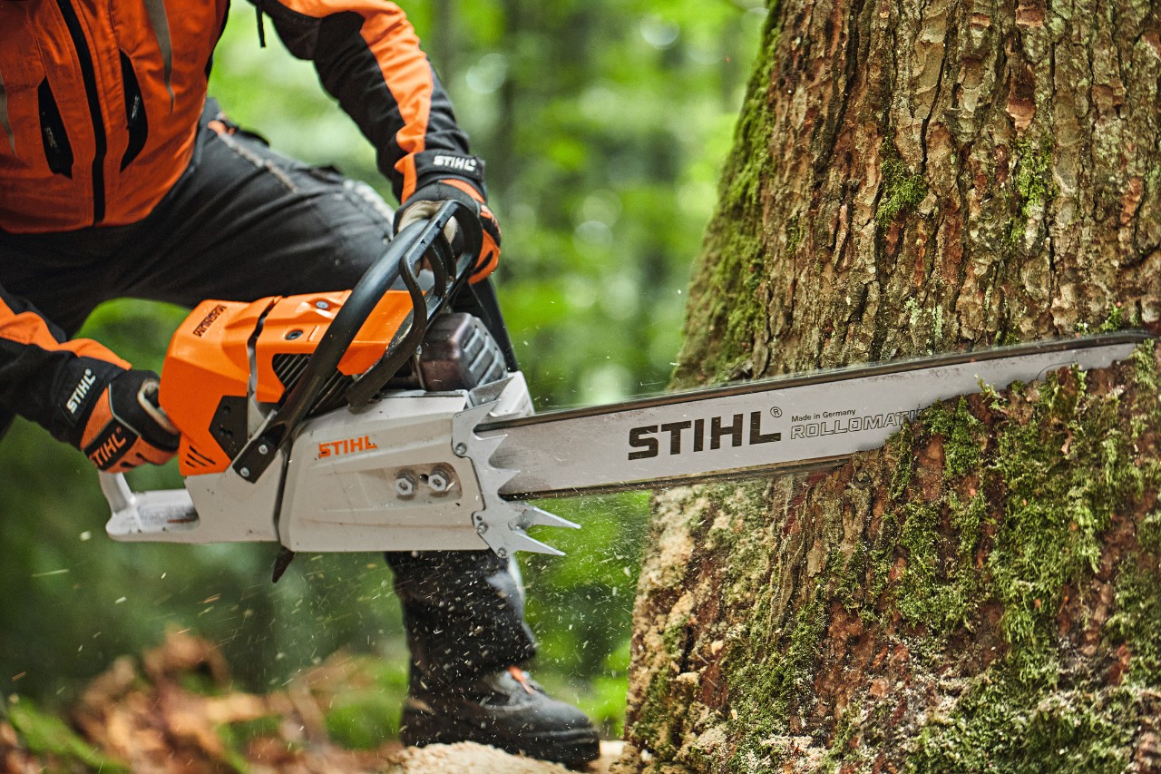 Valaki egy fát fűrészel egy cserélhető orrkerekes STIHL MS 881 benzinmotoros láncfűrésszel