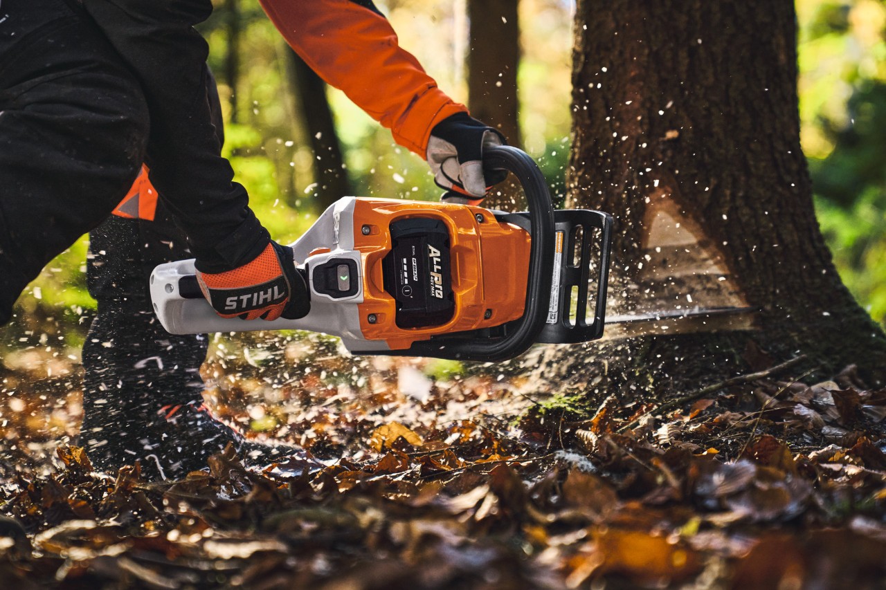 Egy hivatásos felhasználó az STIHL MSA 260 akkumulátoros láncfűrésszel fákat vág az erdőben.