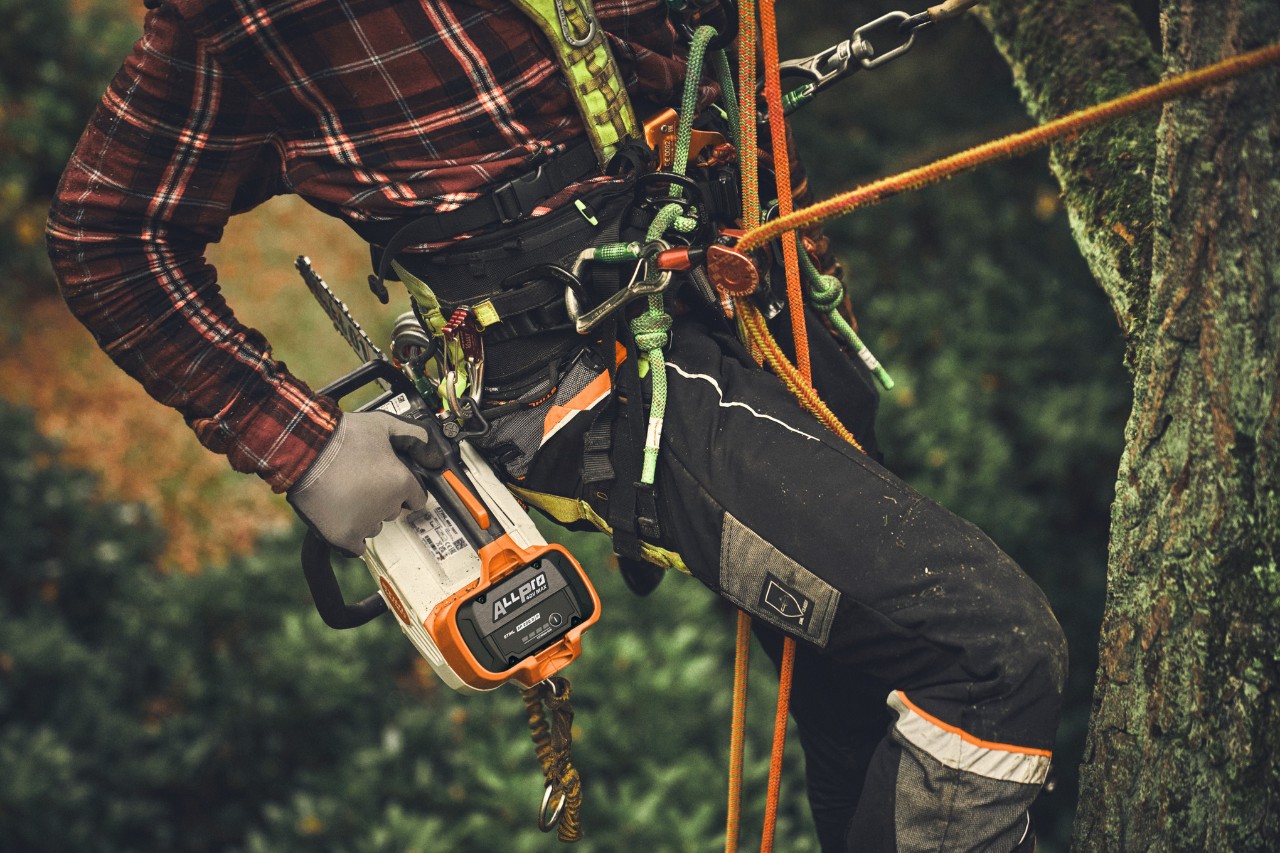 Közelkép egy emberről, aki a STIHL MSA 190 T akkumulátoros láncfűrésszel mászik fel egy fára.