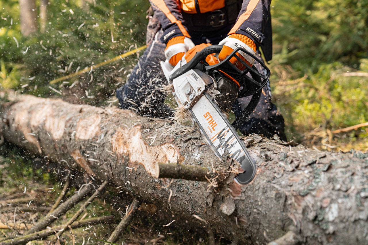 Egy fatörzset a 2-Mix motorral és Light 04 vezetősínnel felszerelt STIHL MS 261 C-M benzines motorfűrésszel kéregtelenítenek az erdőben