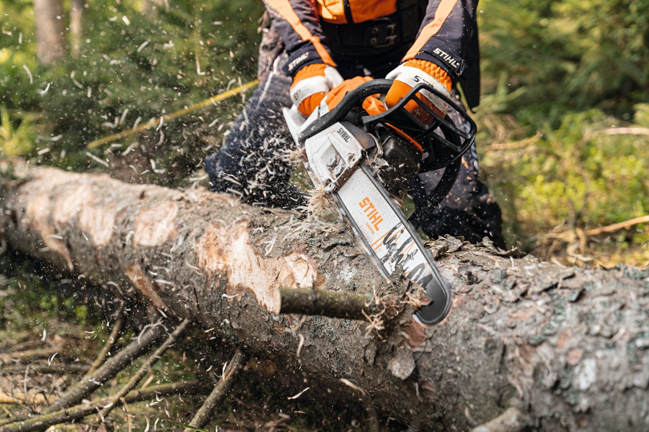 Egy fatörzset a 2-Mix motorral és Light 04 vezetősínnel felszerelt STIHL MS 261 C-M benzines motorfűrésszel kéregtelenítenek az erdőben